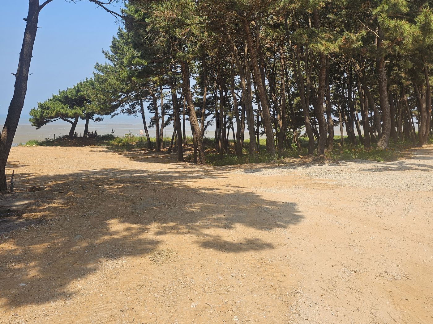 체험장 전경